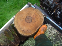 13th September 2008 044